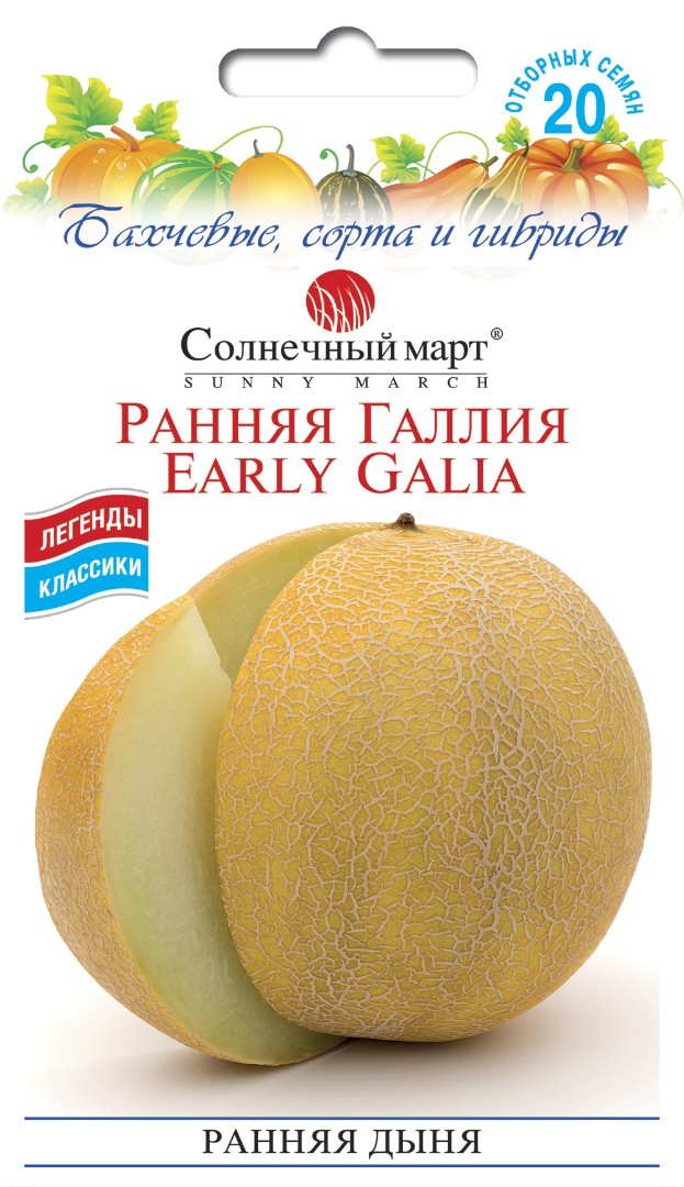 Дыня Ранняя Галия